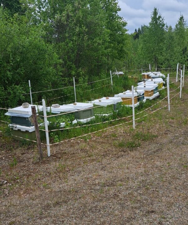 UUTUUS! Krainilainen jaoke